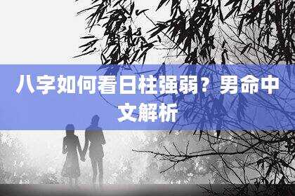 八字如何看日柱强弱？男命中文解析