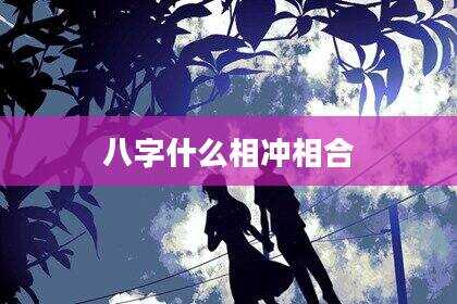 八字什么相冲相合