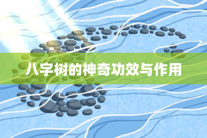 八字树的神奇功效与作用