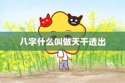 八字什么叫做天干透出