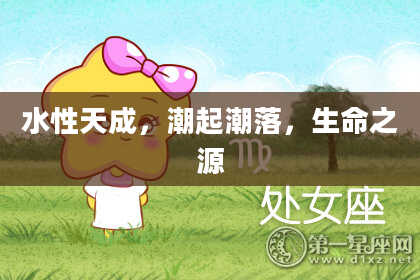 水性天成，潮起潮落，生命之源