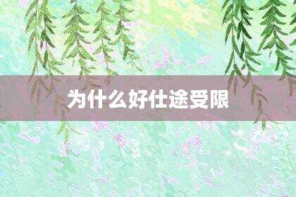为什么好仕途受限