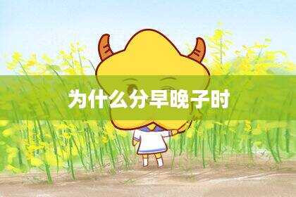 为什么分早晚子时