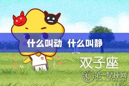 什么叫动  什么叫静