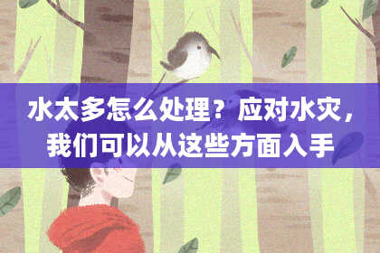 水太多怎么处理？应对水灾，我们可以从这些方面入手