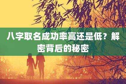 八字取名成功率高还是低？解密背后的秘密