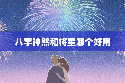 八字神煞和将星哪个好用