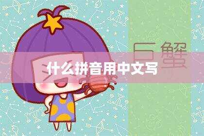 什么拼音用中文写