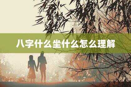 八字什么坐什么怎么理解