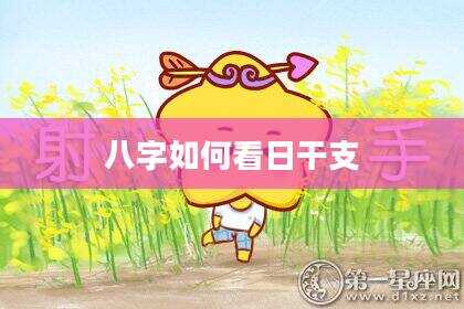 八字如何看日干支